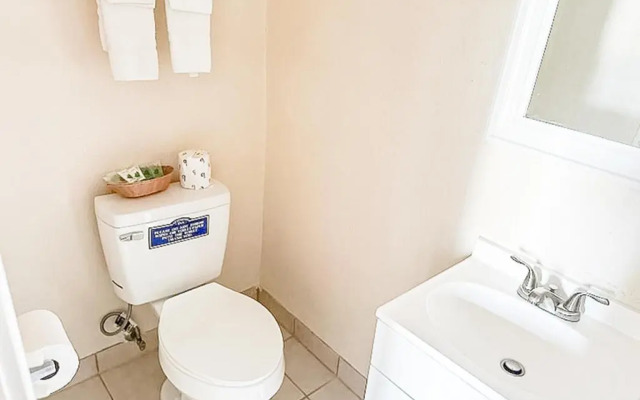 Economy Inn By OYO, Lamesa TX