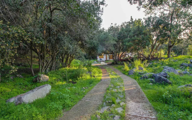 Getaway Among The Trees