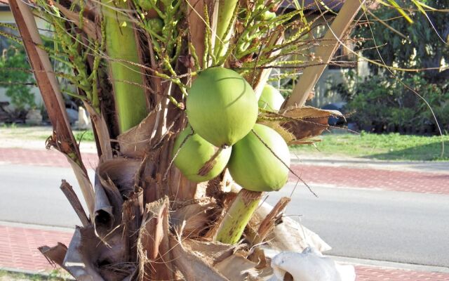 Aruba Cunucu Residence