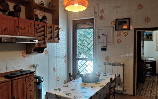 Residenza Cavalluccio Marino-CAVALLUCCIO MARINO