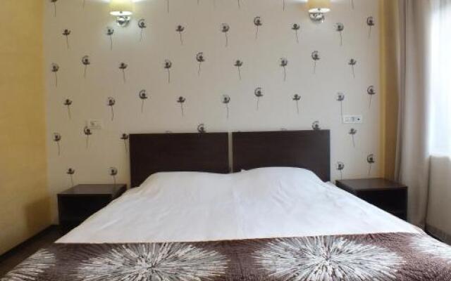 Pensiunea Steaua Nordului