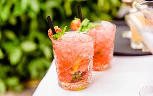 Luxury Vintage Hotel Villa Beukenhof