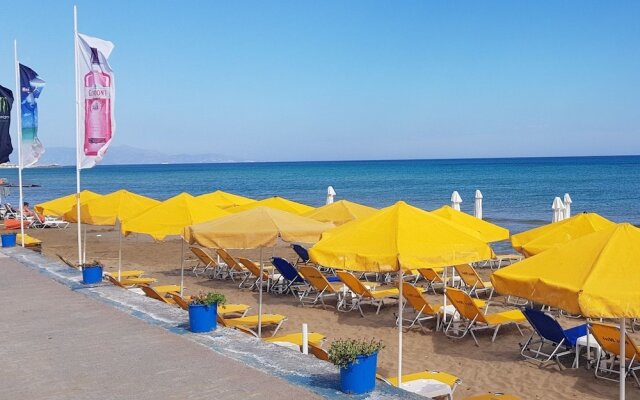 Iris apt Swim sunbathe relax  beachfront