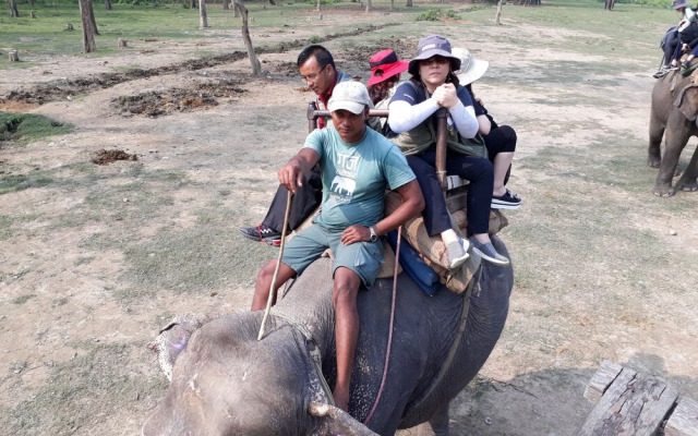 The 90's Sauraha