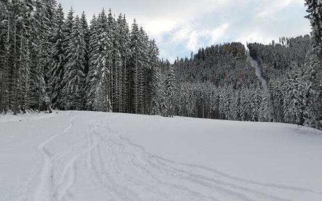 Ferienwohnung Blick auf die Buchensteinerwand