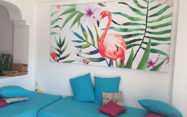 Condo AG Elegance