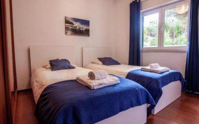 Ocean, Pines and Mountain