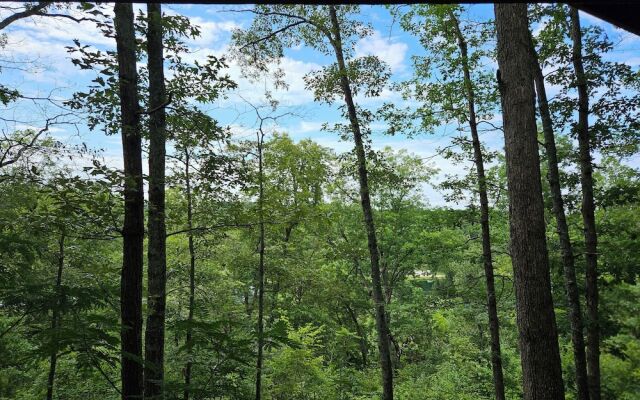 Riverview Cabins
