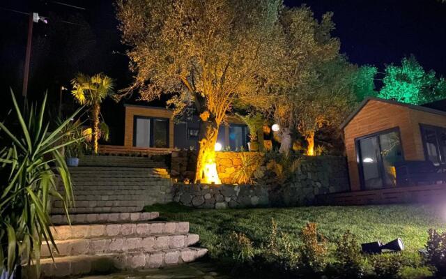 Tiny Bademli