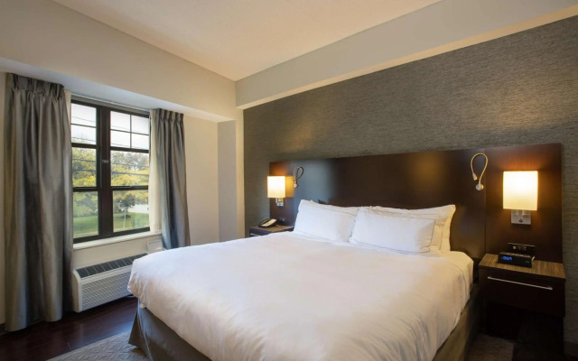The Mosey Buffalo Williamsville, Tapestry Collection by Hilton