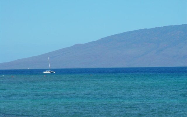 The Kulakane