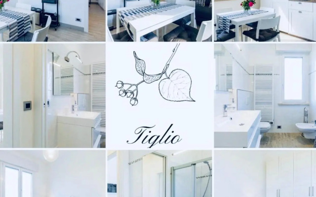 Green House in campagna