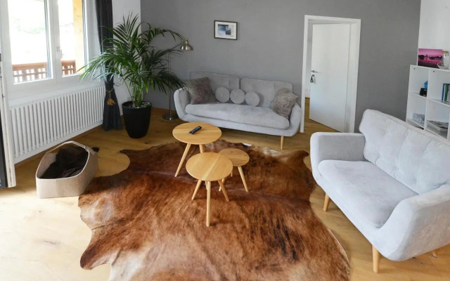 Zer Treichi Appartements