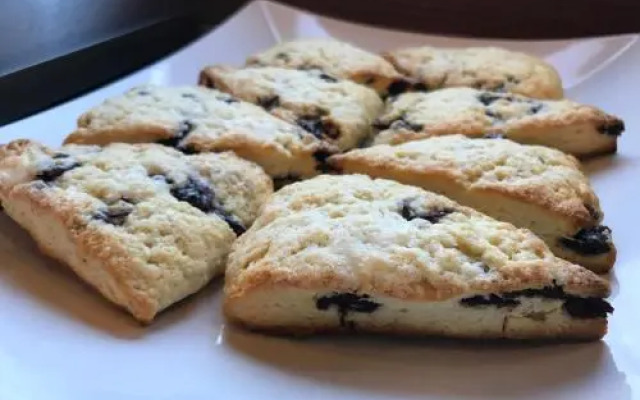 Dragonfly Guest House