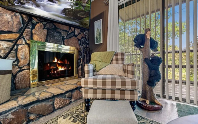 Bearadise Mountain Getaway