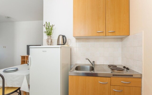 Beautiful Apartment in Rasopasno With Wifi