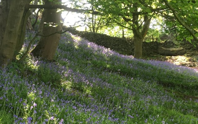 Otley Chevin B&B With Dining