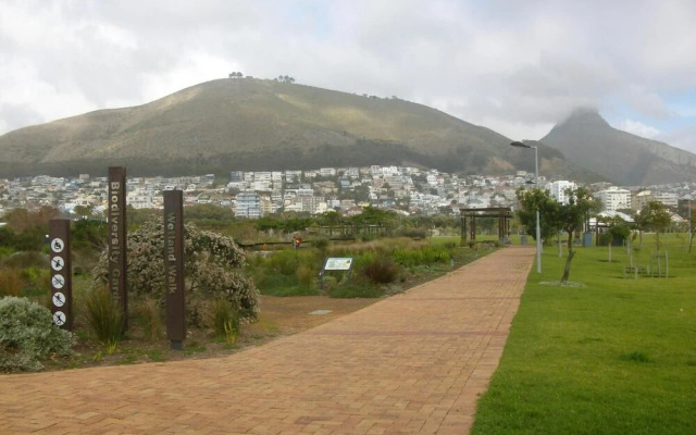 Open-plan 1 Bedroom Apartment In Green Point