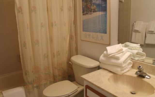 Quiet Waters 3D Apartment