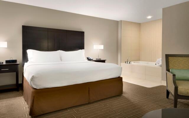 Holiday Inn & Suites Duluth Downtown by IHG