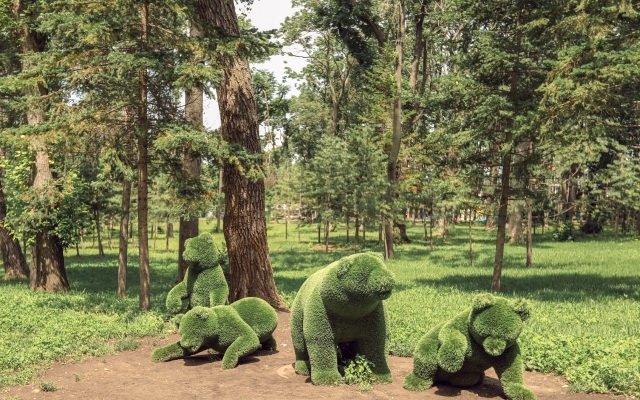 Санаторий «Амурский залив»