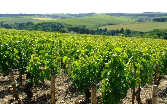 Hostellerie Saint Pierre