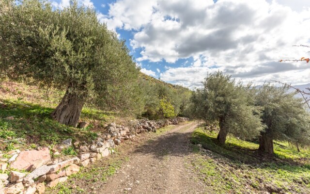 Rocca di Mezzogiorno - Fiordaliso