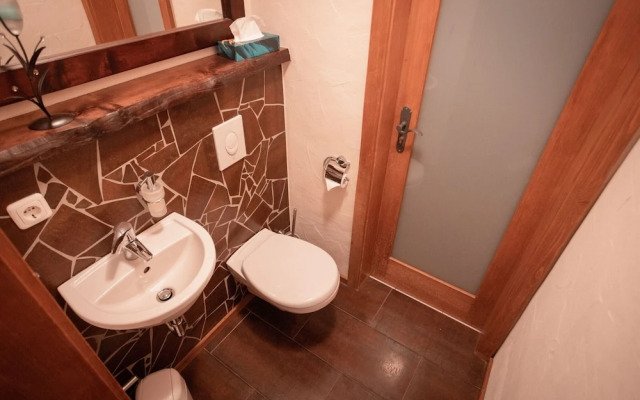 Holiday Home With Sauna in Viechtach