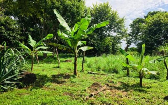 Finca del Sol Eco Lodge