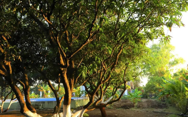 Wilderness Camp 200mtr from Devaliya Park
