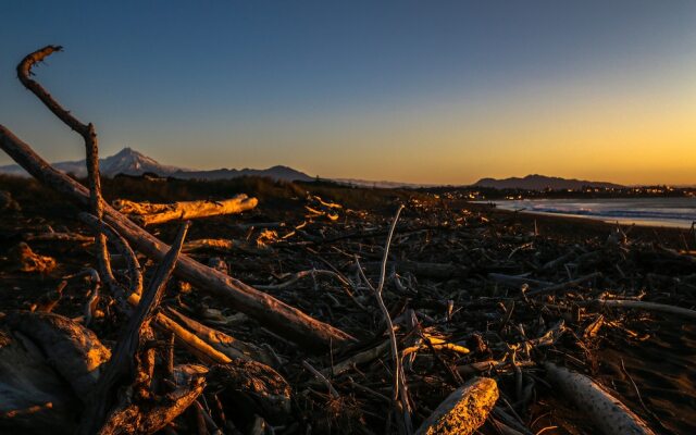 New Plymouth Top 10 Holiday Park