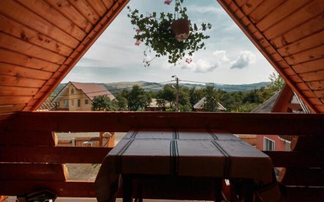 Pensiune agroturistică "Casa Teodora"