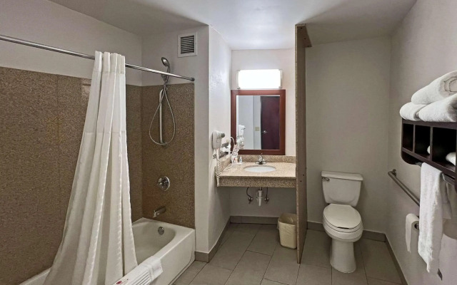 Comfort Suites Jackson-Cape Girardeau