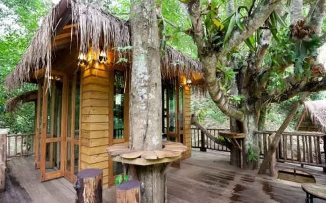 Dreamcaught tree houses