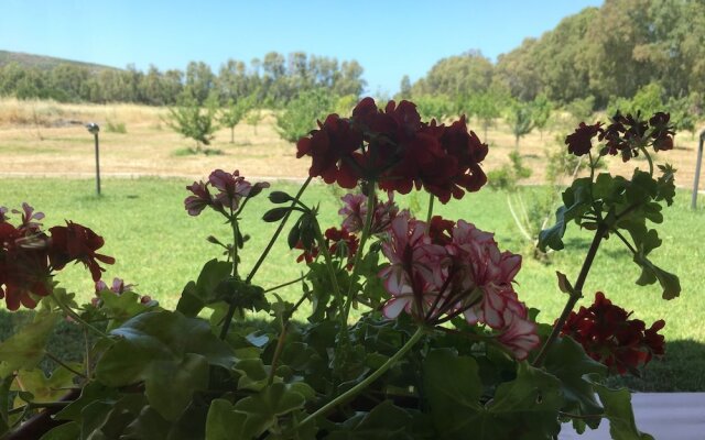Villa Arzilla Country House Sardegna