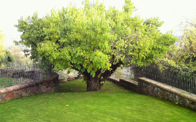Casa rural el Vallejo