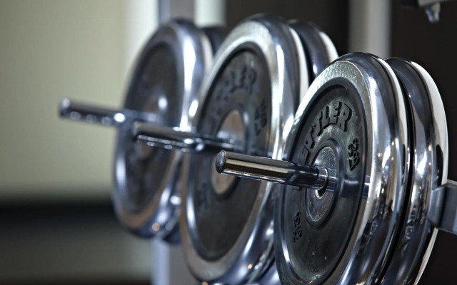 MAXX Hotel Sanssouci Potsdam