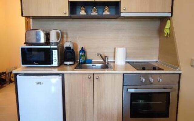 Aspen Valley Studio Apartment Аспен Вали студио апартамент