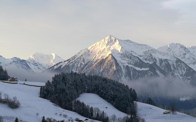 Ackaert Ferienwohnung Top of Thun