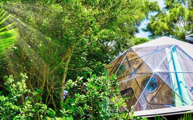 Bubble Dome Village- Glamping