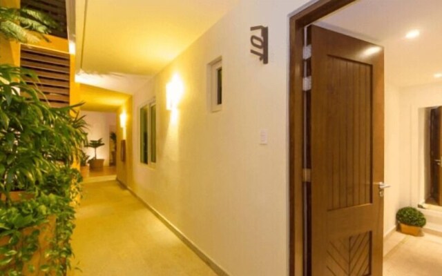 Romantic Zone V177 Studio