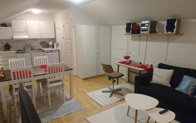 Arctic River Apartment