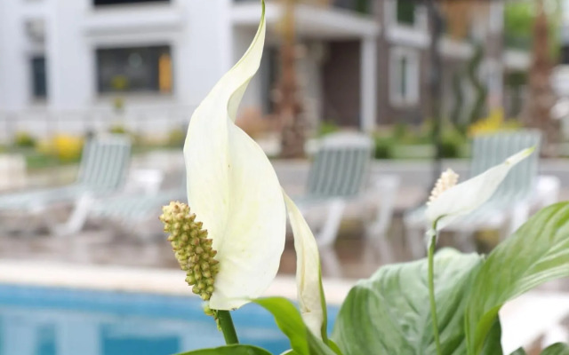 Flower City Suites