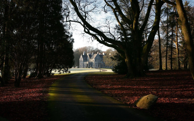 Mount Falcon Estate