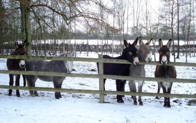 Hôtel du Château de la Motte