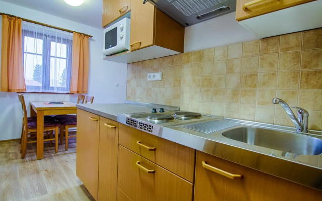 Apartment Rokys
