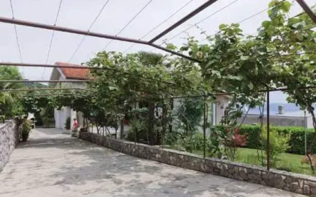 Apartment ulica Kamelija I