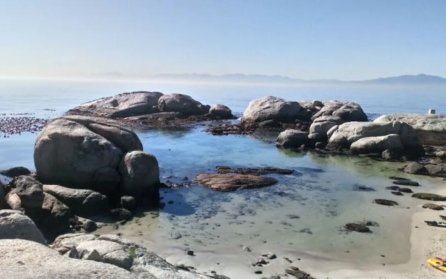 Edwardian Town House