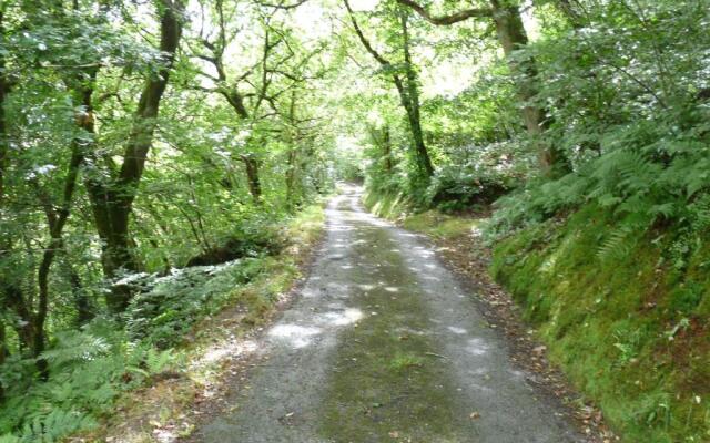 Romany Wagon Retreat