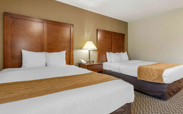Comfort Inn South